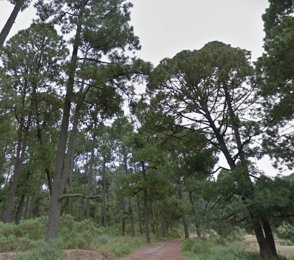 Dos adolescentes de 15 años son hallados sin vida en las faldas de La Malinche, en Huamantla